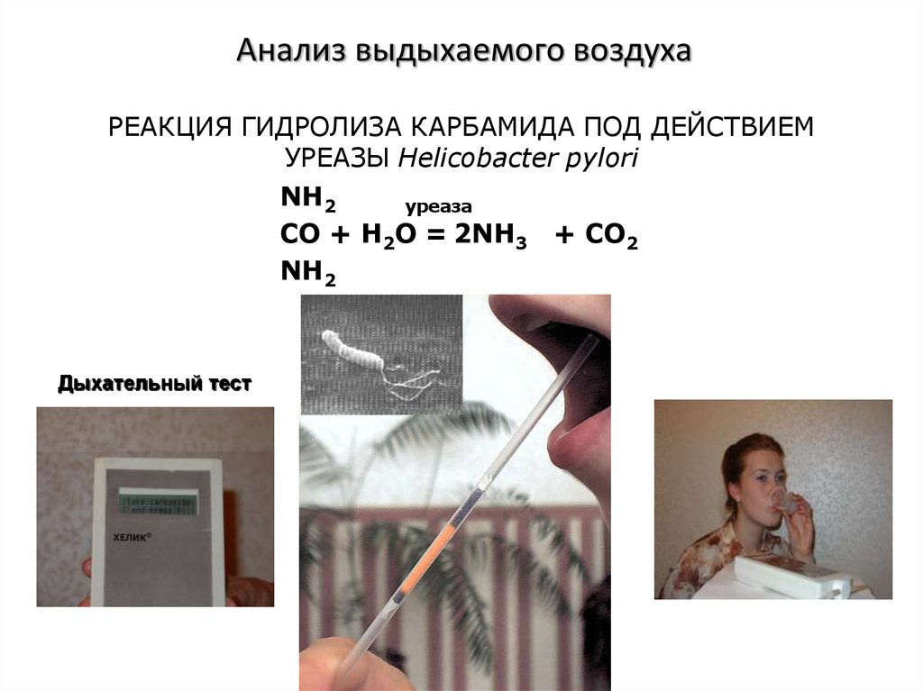 Анализ воздуха в помещении. Исследование выдыхаемого воздуха. Анализ выдыхаемого воздуха. Исследование газов выдыхаемого воздуха. Лаборатория для исследования воздуха.