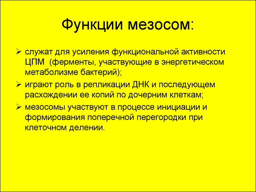 Функция это кратко. Мезосомы строение и функции. Функции мезосомы бактериальной клетки. Функции мезосом в бактериальной клетке. Мезосома функции у бактерий.