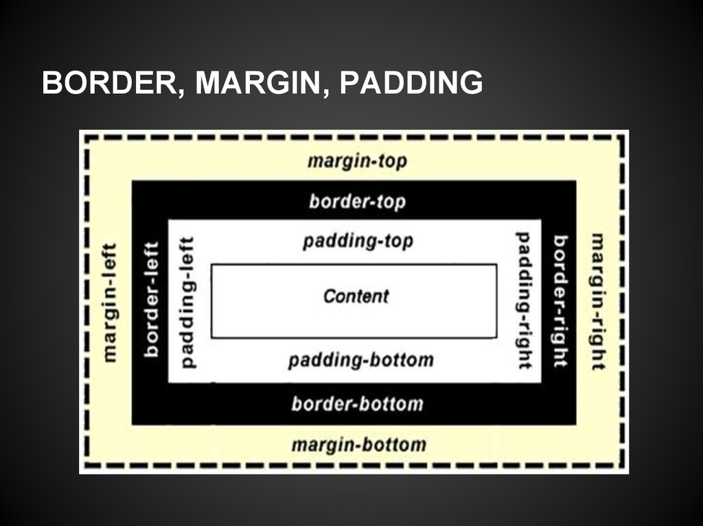 Margin css что это