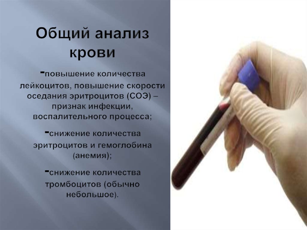 Общий анализ крови из пальца что показывает