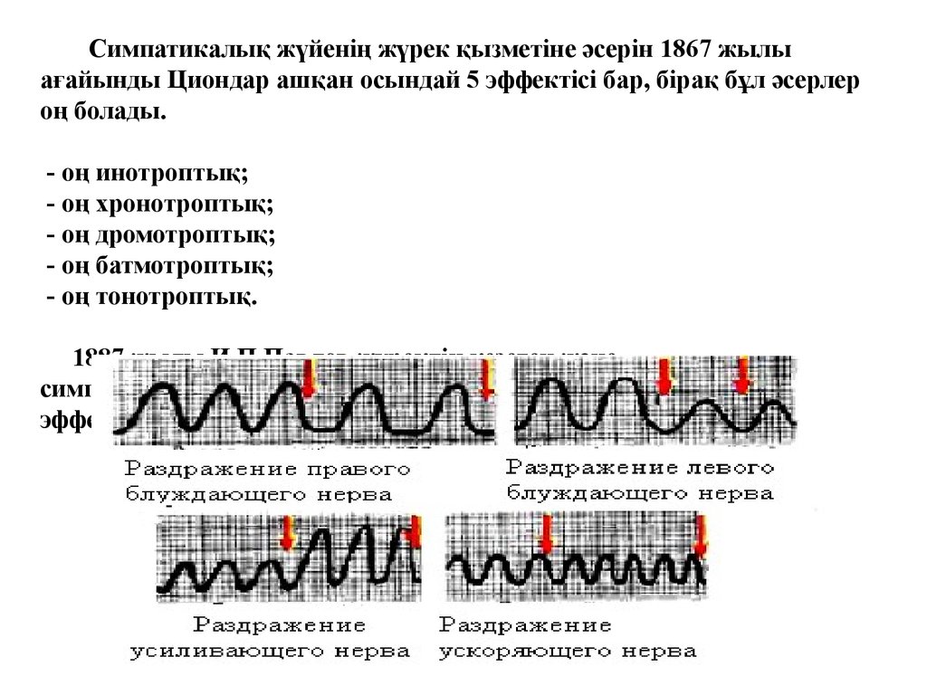 Симпатикалық жүйенің жүрек қызметіне әсерін 1867 жылы ағайынды Циондар ашқан осындай 5 эффектісі бар, бірақ бұл әсерлер оң болады. - оң инотро
