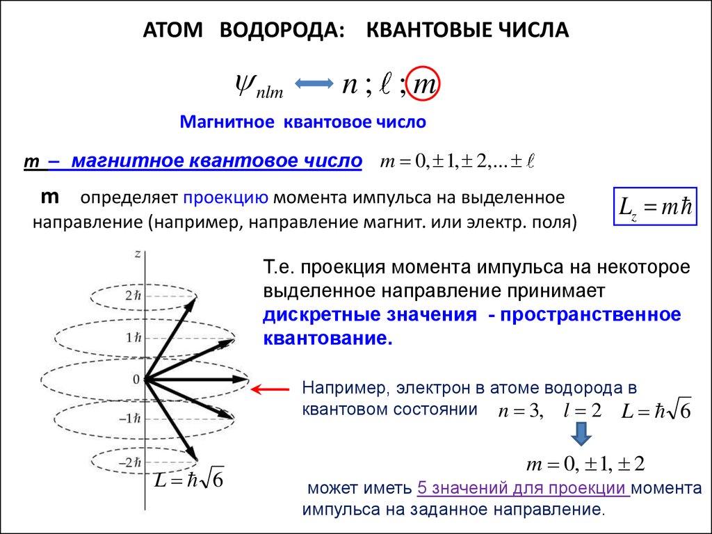 Магнитное квантовое число. Уравнение Шредингера квантовые числа. Уравнение Шредингера для атома водорода квантовые числа. Как определить магнитное квантовое число. Пространственное квантование (магнитное квантовое число).