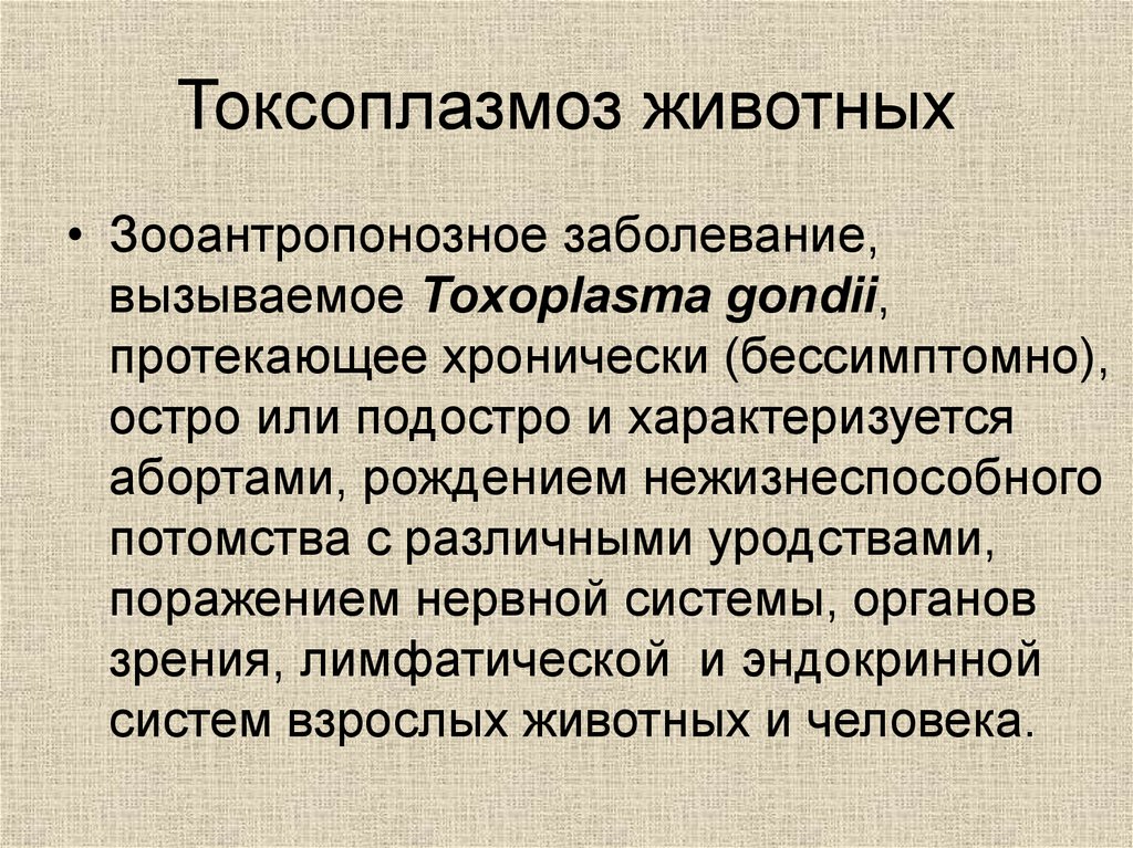 Токсоплазмоз. Токсоплазма вызываемые заболевания. Токсоплазмоз заболевание.