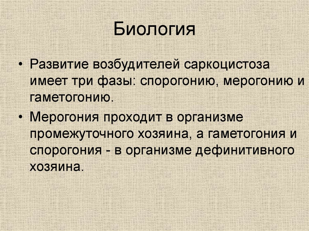 Промежуточного хозяина имеет. Мерогония гаметогония. Мерогония это в паразитологии. Гаметогонии это в биологии. Гаметогонии это определение.