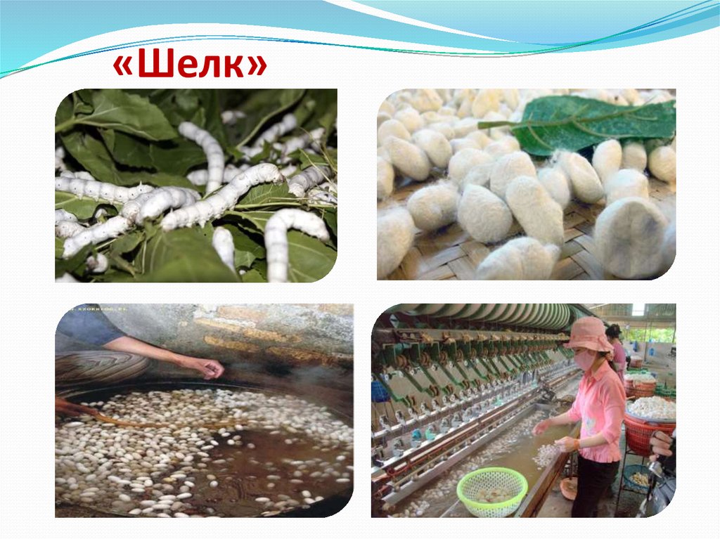 «Шелк»