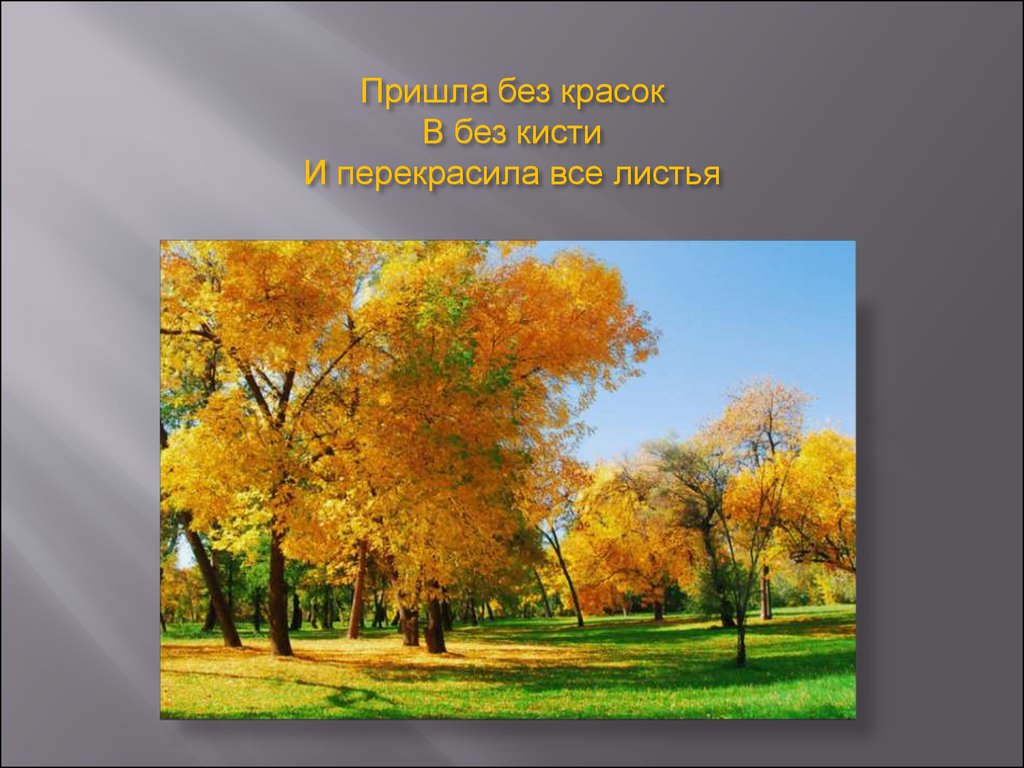 Пришла без красок и без листьев. Открытый урок на тему осень. План урока по теме осень. Пришла без красок и без кисти и перекрасила все листья. Все о осени для проекта.