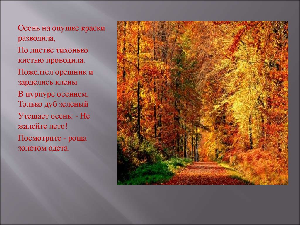 Предложения золотая осень. Описание осени. Красивое описание осени. Описание осенней природы. Осень описание природы.