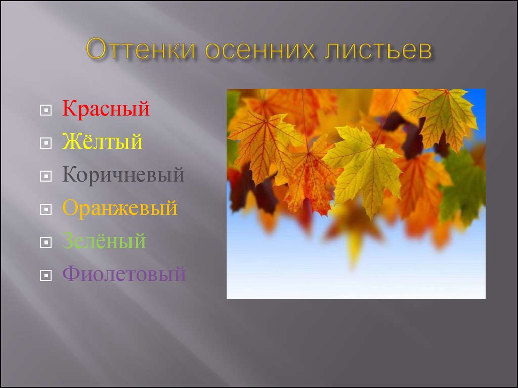 Осенний урок. Осенние листья для презентации. Осенние листья изо. Презентация осенние листьев. Тема для презентации осенние листья.