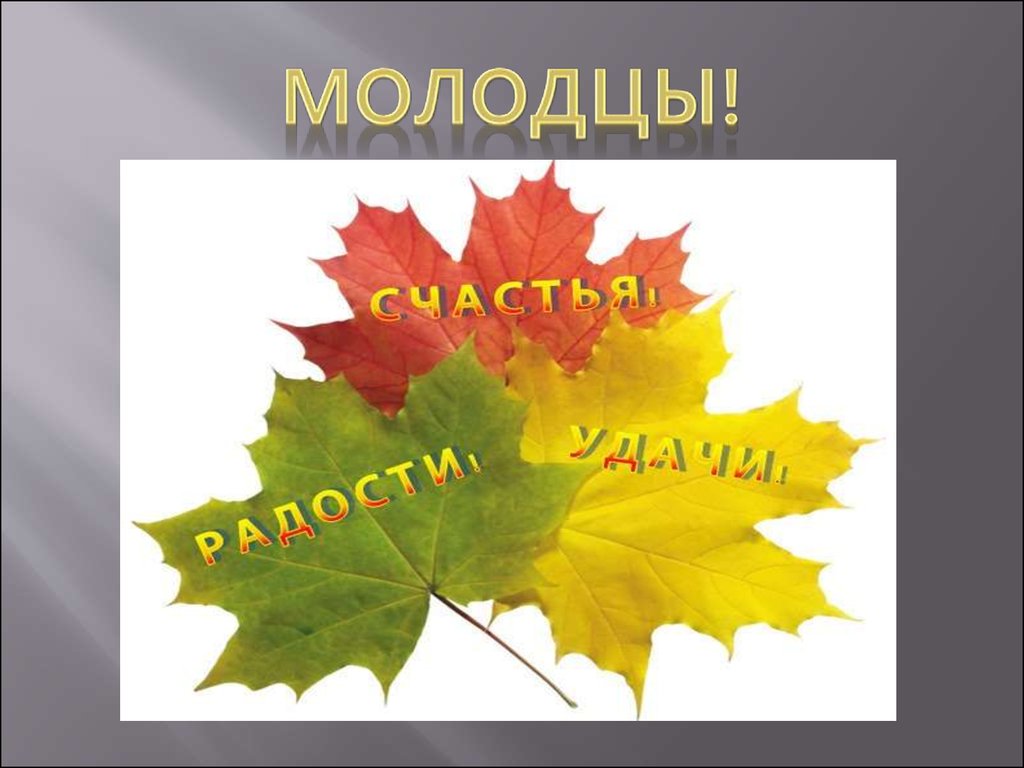 Осень молодцы. Изо лист клена. Изо осенние листья презентация. Кленовый лист поэтапное рисование презентация. Изо лист клёна презентация.