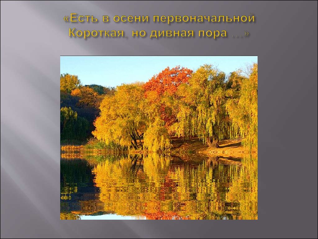 Дивная пора. Тютчев короткая но дивная пора. Есть в осени первоначальной. Есть в осени первоначальной короткая но дивная. Осень первоначальная короткая но дивная пора.