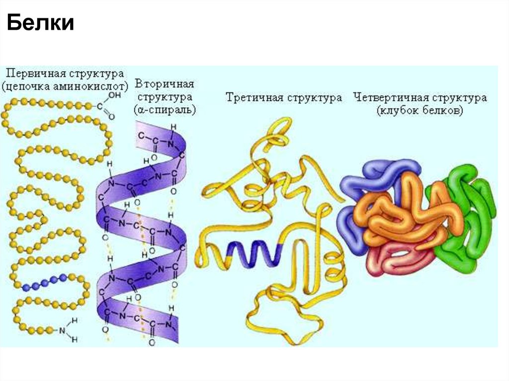 Молекулярная биология картинки