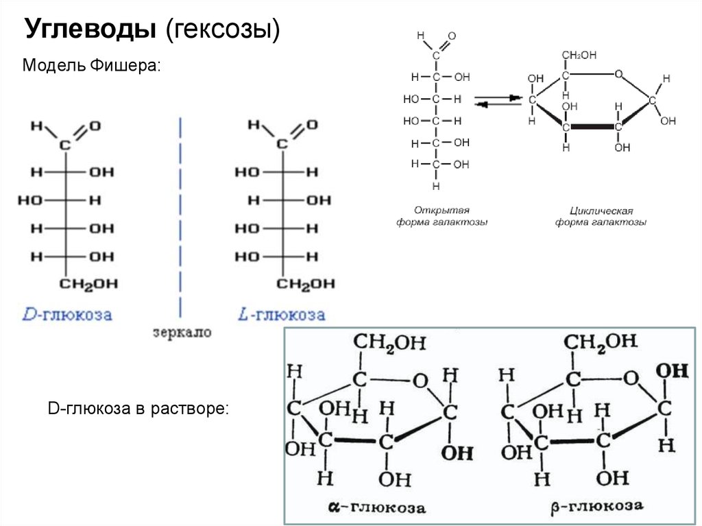 Формула углевод глюкозы. Глюкозы галактоза циклические. Д Глюкоза в проекции Фишера. D И L Глюкоза формула Фишера. Формулы Фишера и Хеуорса на примере Глюкозы.