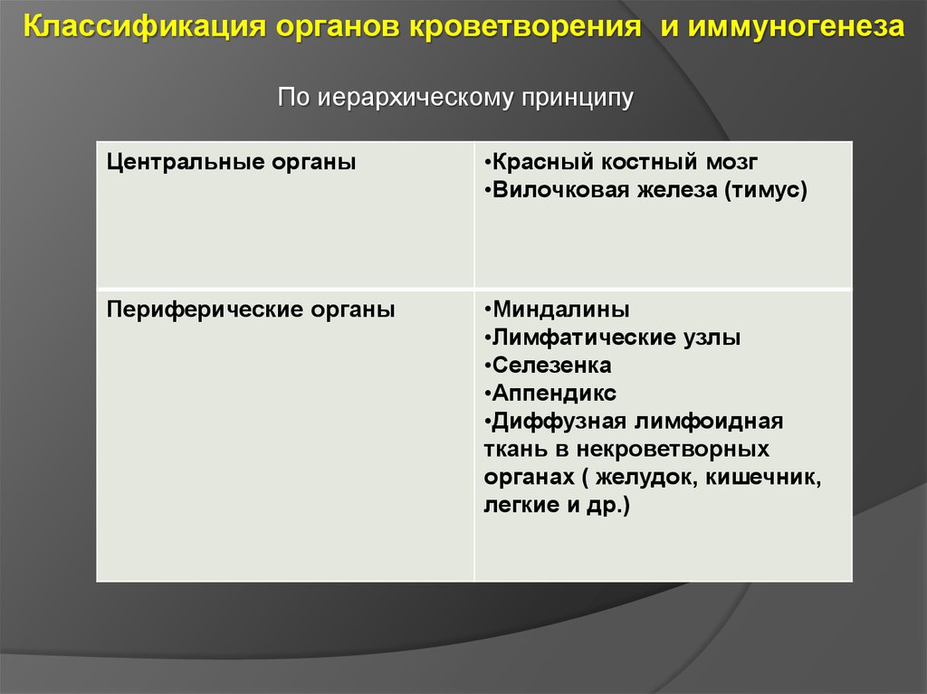 Общая характеристика органов кроветворения