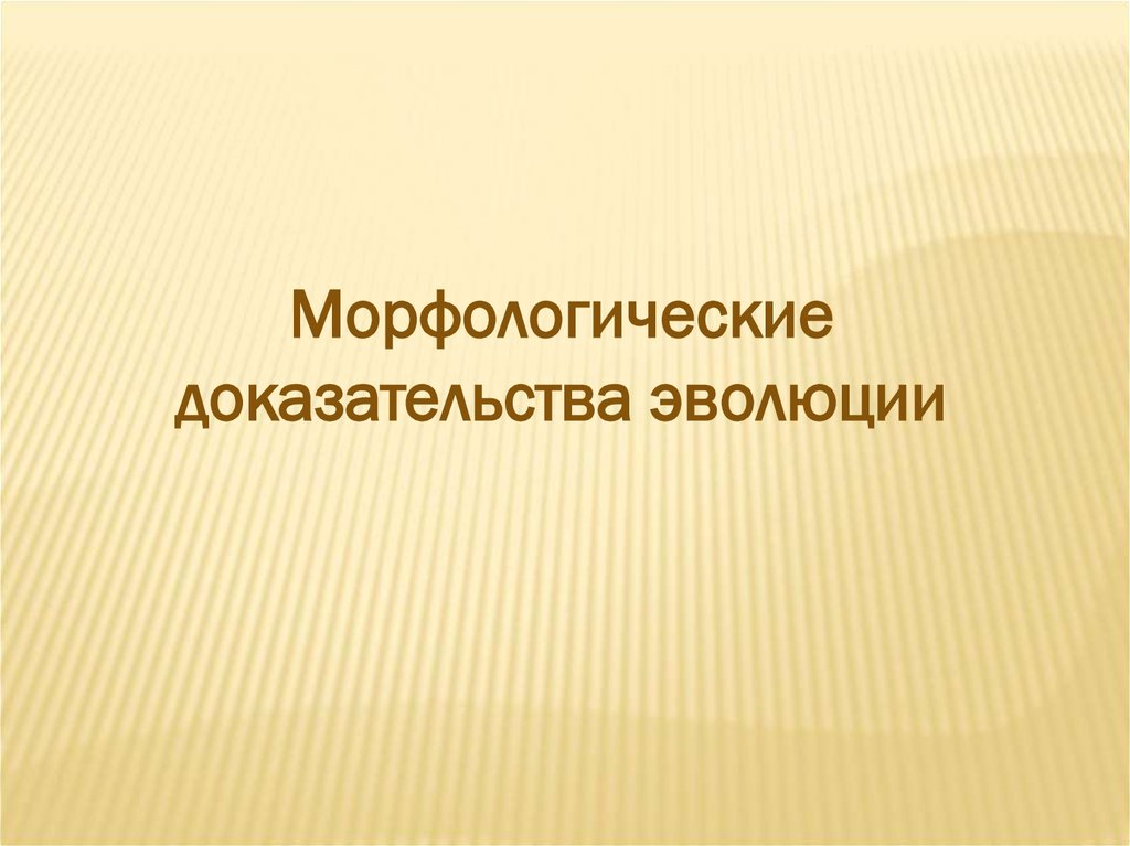 Презентация доказательства эволюции органического мира 11 класс