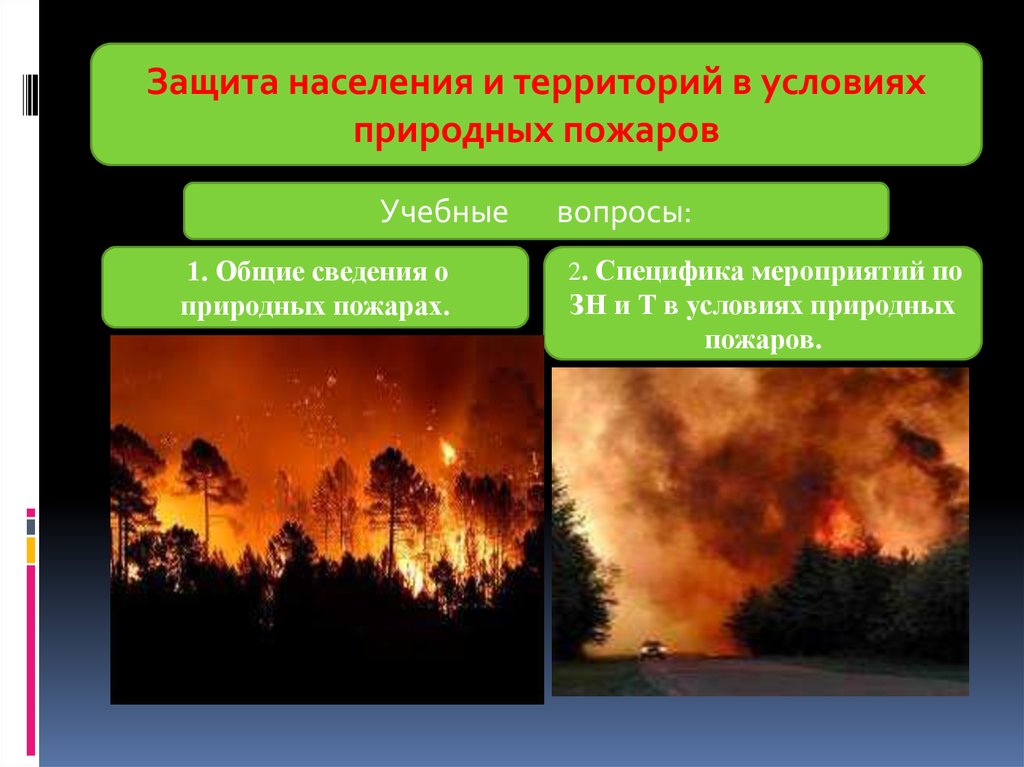 Особенности природного пожара. Защита населения от природных пожаров. Природные пожары способы защиты. Мероприятия по защите от природных пожаров. Природные пожары ОБЖ.