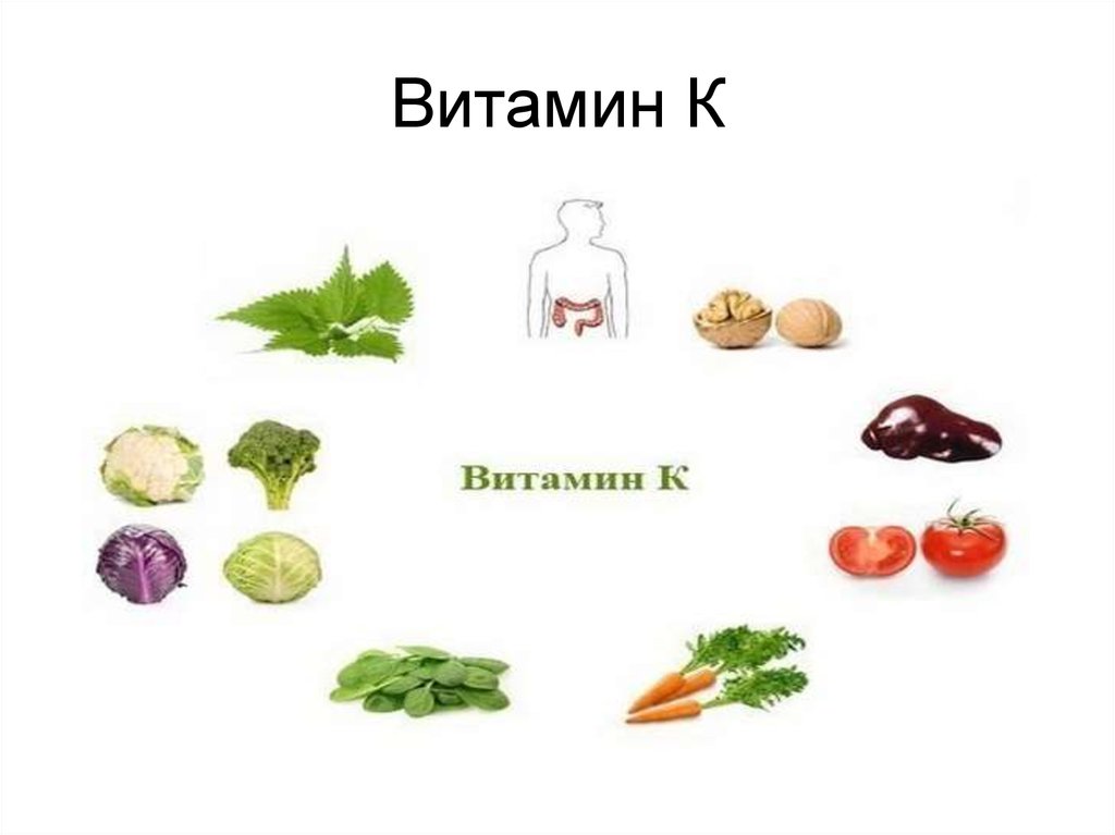 Витамин k продукты. Продукты содержащие витамин k. Продукты содержащие витамин с. Bитамин k в каких продуктах. В каких продуктах содержится витамин а.