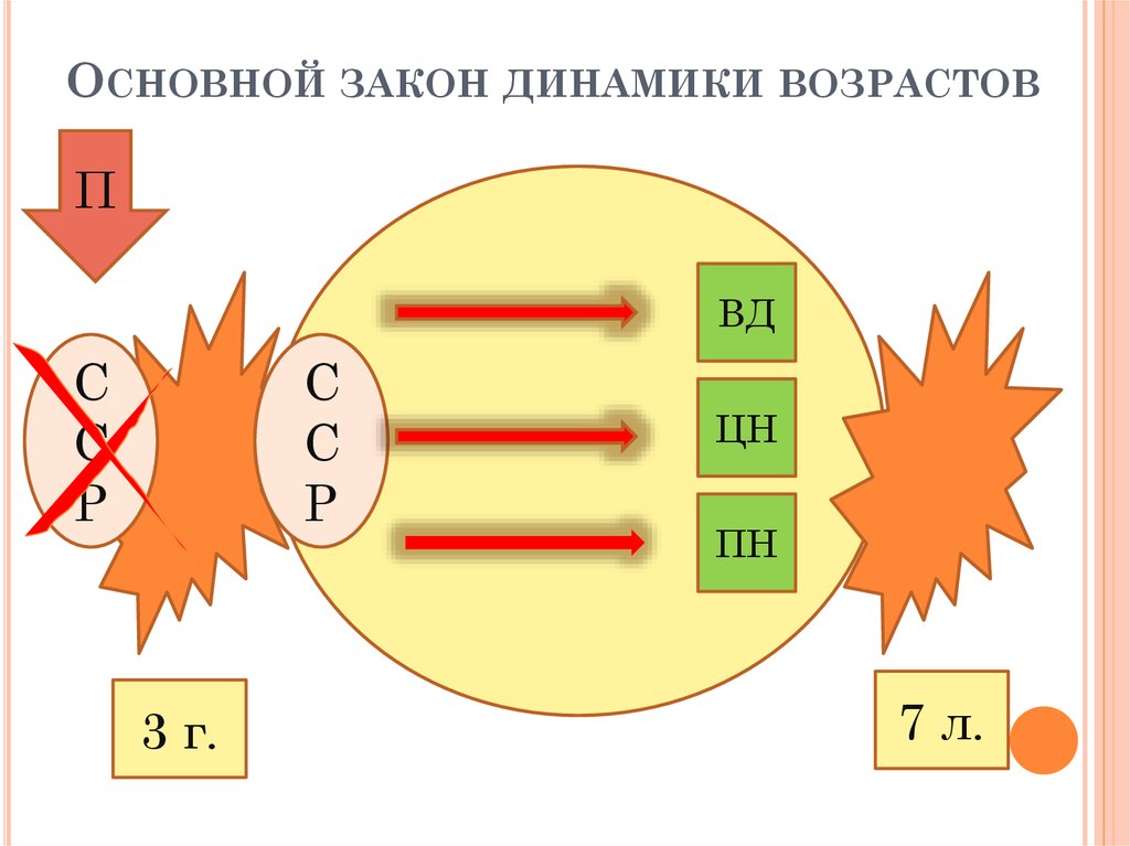 Основной закон динамики возрастов