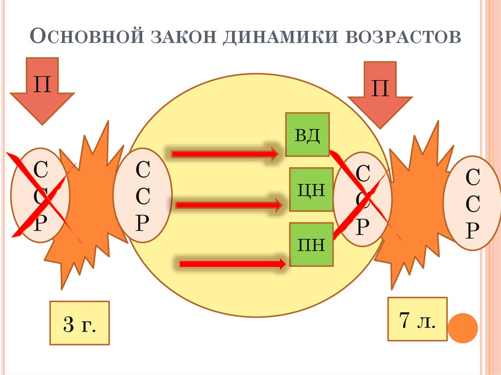 Основной закон динамики возрастов