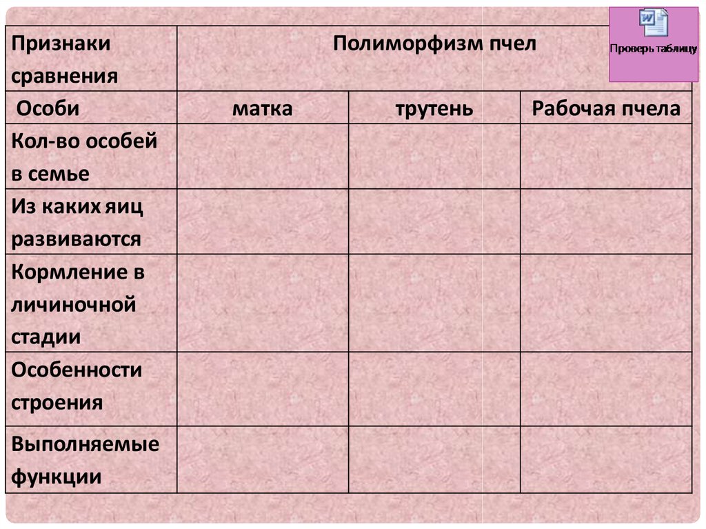 Используя текст параграфа и информацию которую содержит рисунок 33 выясните какие функции в семье