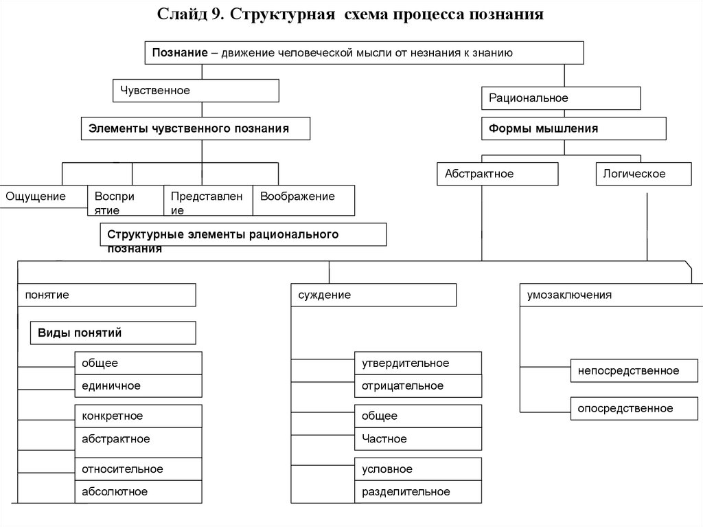 Схема формы познания. Процесс познания схема. Этапы процесса познания схема. Структура и формы познания.