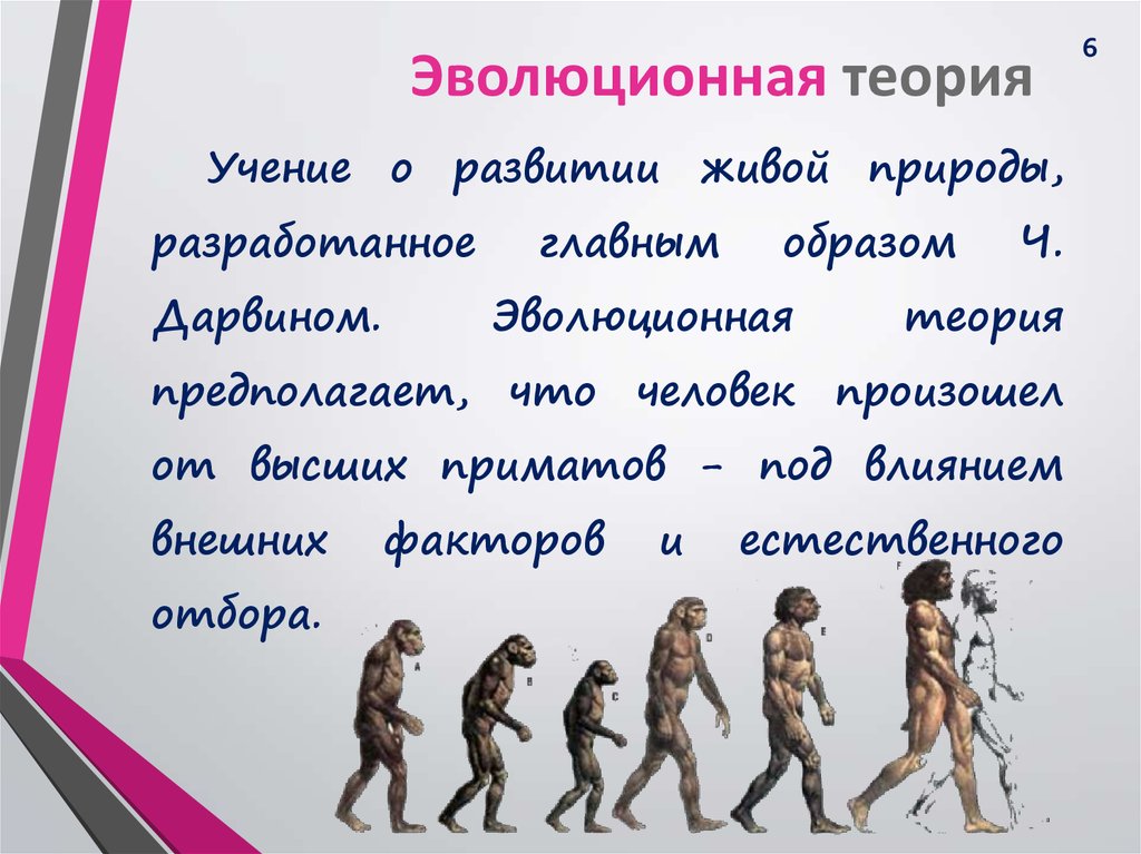 Теория эволюции это в биологии. Эволюционная теория. Эволюционная теория происхождения человека. Эволюционная концепция возникновения человека. Теория происхождения человека эволюционная теория.