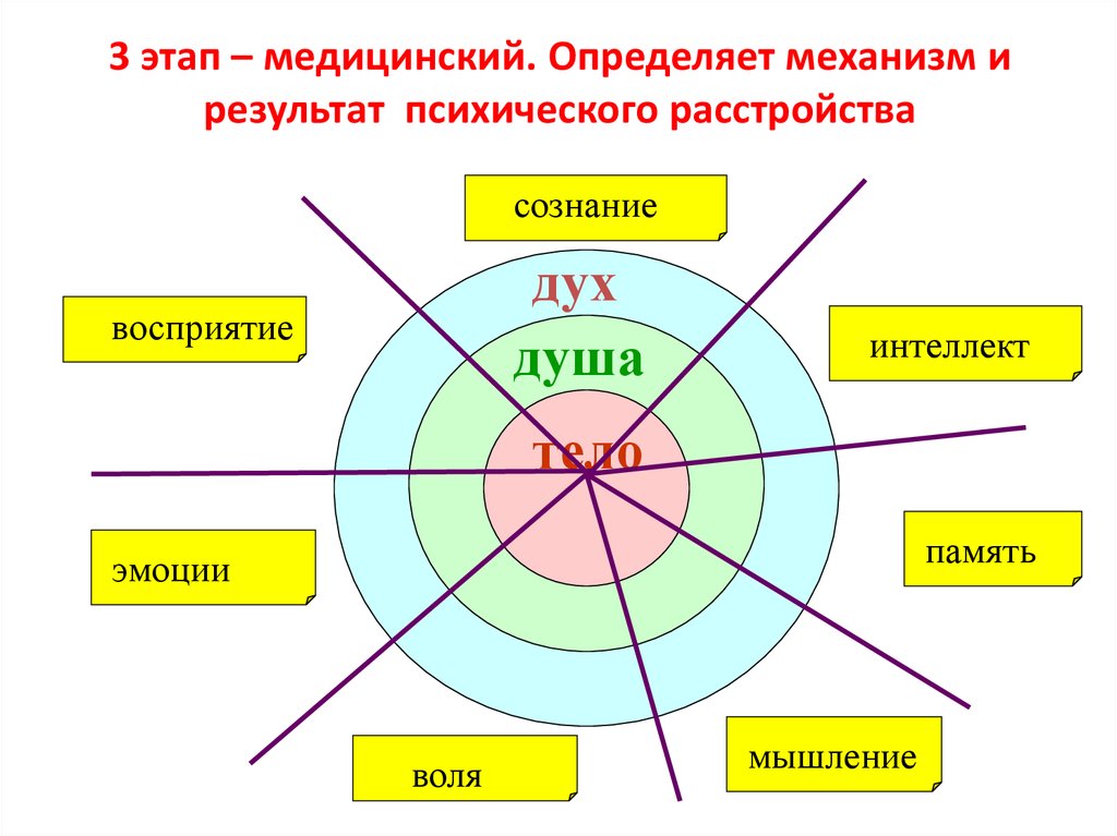 Сознание чувства воля