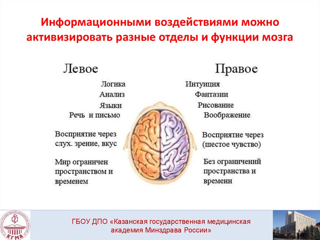Информационными воздействиями можно активизировать разные отделы и функции мозга
