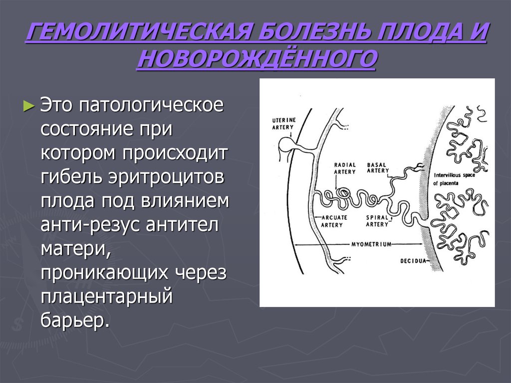 Гемолитическая болезнь презентация