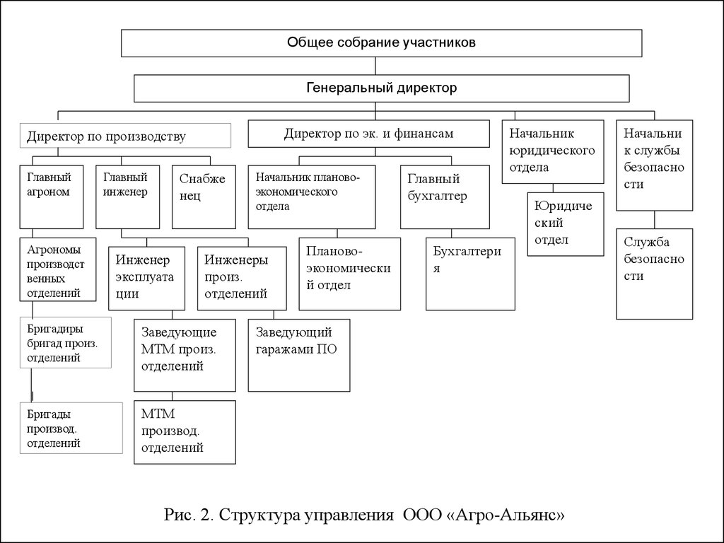 Организационная структура сельскохозяйственного предприятия схема