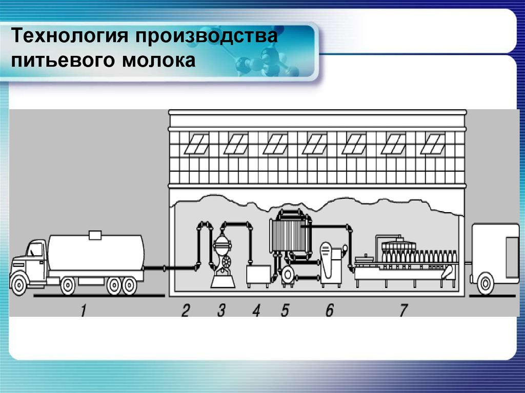 Производство молока презентация - 96 фото