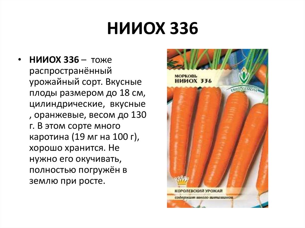 НИИОХ 336
