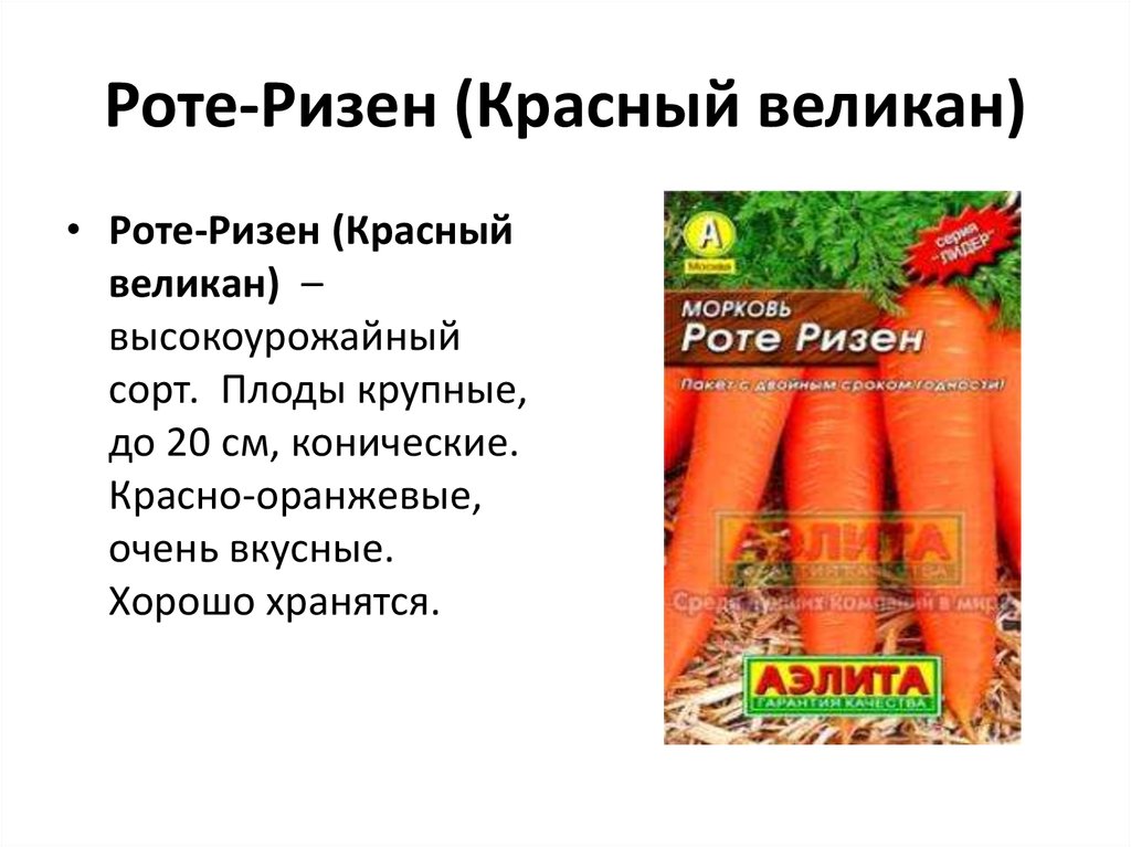 Морковь - презентация онлайн