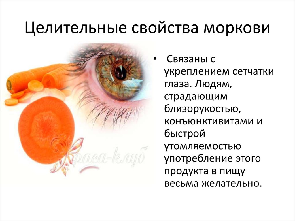 Целительные свойства моркови