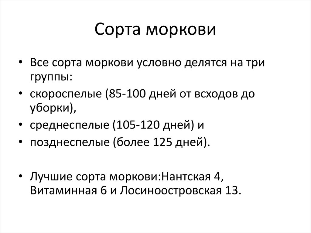 Сорта моркови