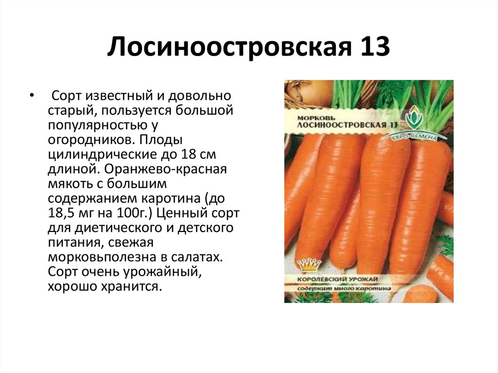 Описание 13. Лосиноостровская 13 морковь описание сорта. Сорт моркови Лосиноостровская. Лосиноостровская морковь описание сорта. Морковь Лосиноостровская 13 характеристика.