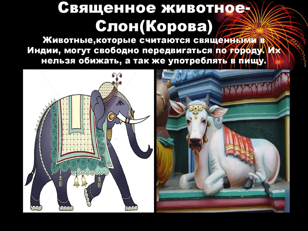 Какое священное животное в китае