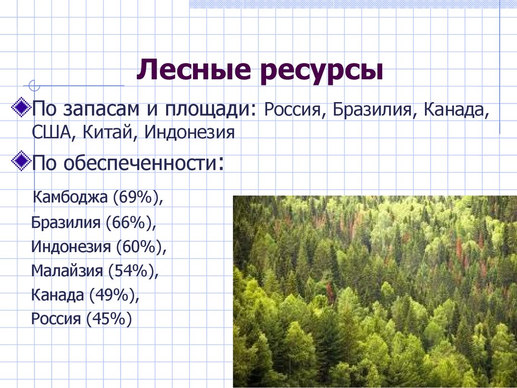 Лесные ресурсы мира и россии презентация