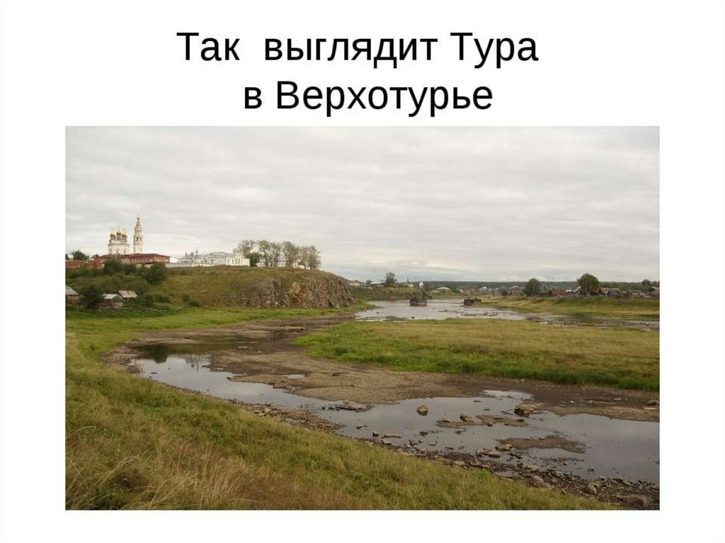 Откуда берет начало река тура. Река тура Свердловская область. Сообщение о реке тура. Доклад о реке туре. Река тура описание.