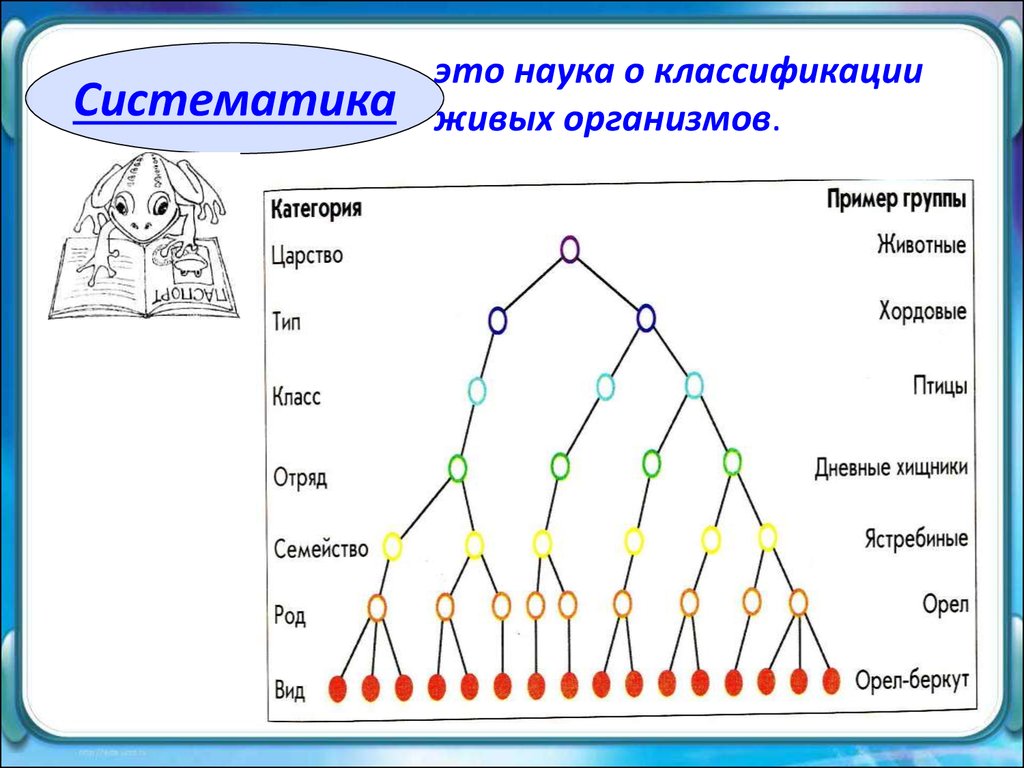 Классификация организмов это. Современная систематика схема. Классификация живых организмов таблица. Таблица классификация живых организмов биология. Схема биологической классификации живых существ.