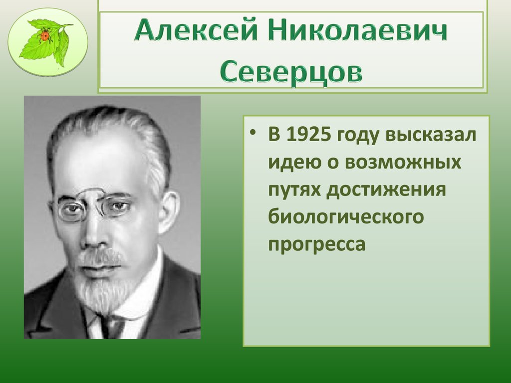 Северцов биологический прогресс. Северцов 1925.