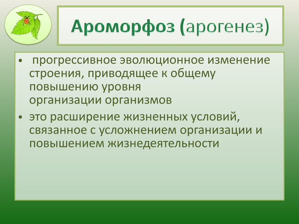 Презентация ароморфозы млекопитающих