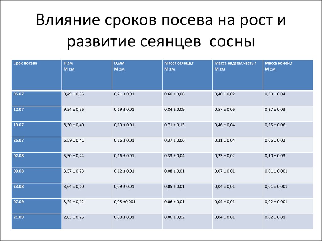 Влияние сроков. Темпы роста сосны. Сосна обыкновенная фенологические фазы. На сроки посева влияют. Оптимальные сроки посева семян сосны.