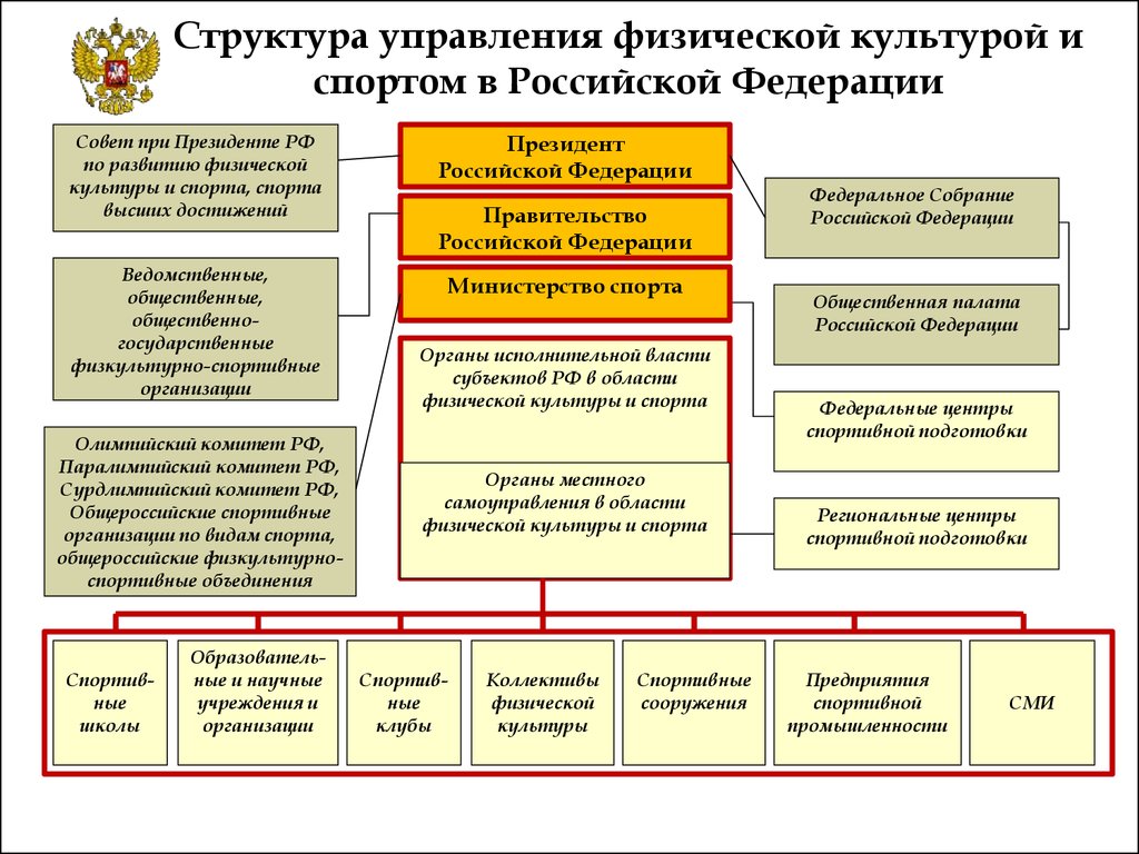 Структура управления физической культурой и спортом в Российской Федерации