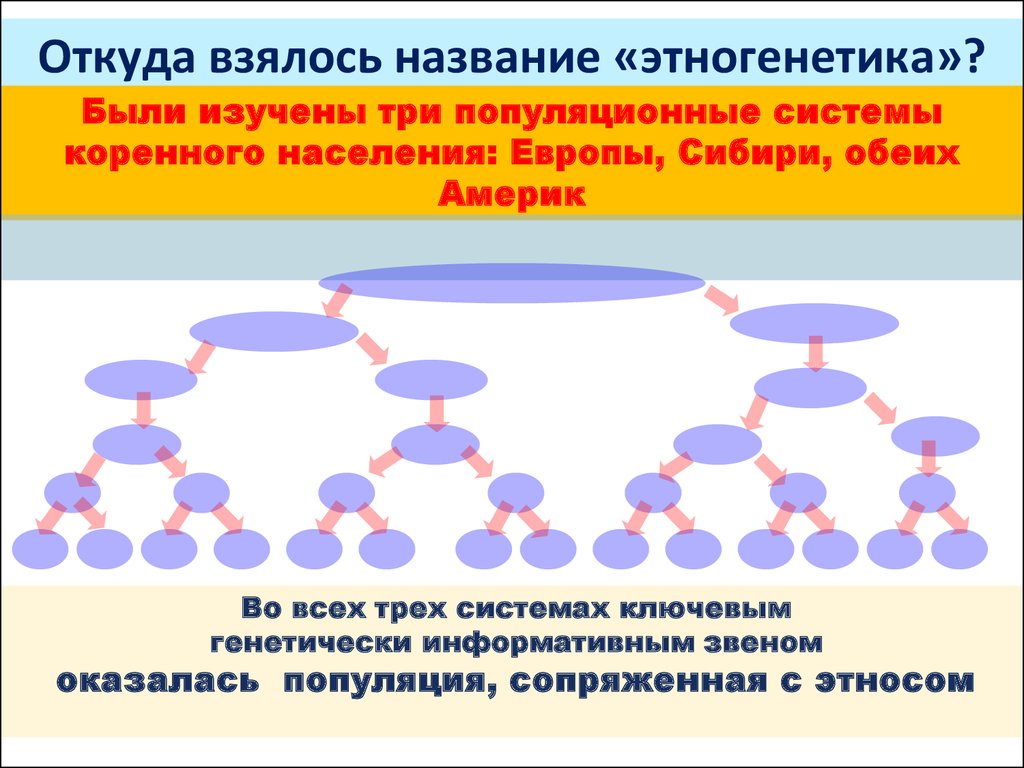 Откуда берут. Откуда взялось название. Откуда взялся. Название коренных систем. Откуда взялось название определение.