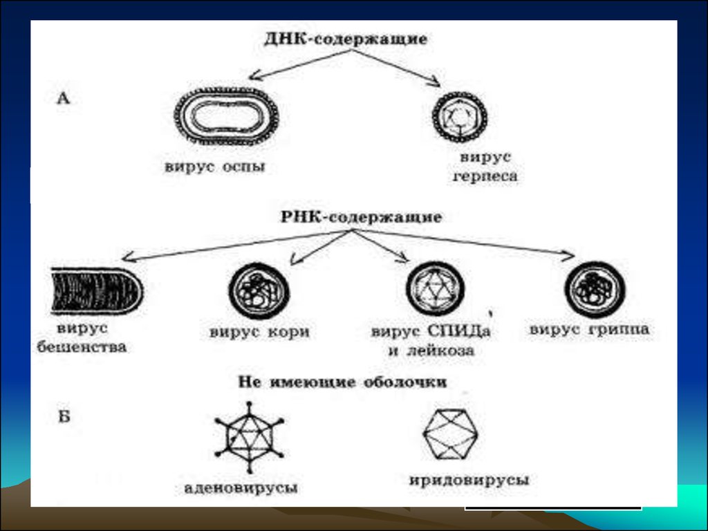 book soviet and czechoslovakian parapsychology research u dst 1810s 387 75 1975