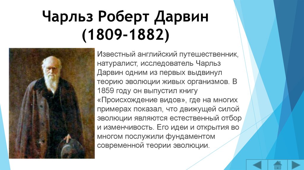 Известный английский исследователь. Дарвин краткая биография. Сообщение о Чарльзе Дарвине. Ч Дарвин биография.