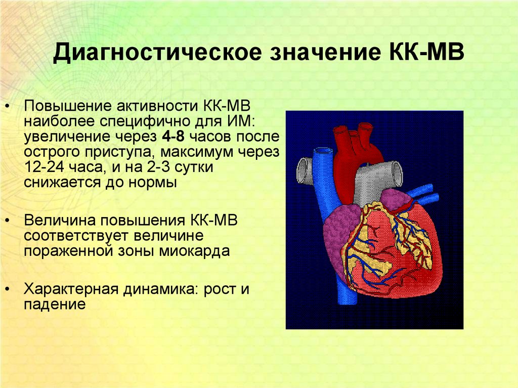 Диагностическое значение. КК диагностическое значение. Повышение активности КК. КК фермент диагностическое значение. КК клинико диагностическое значение.