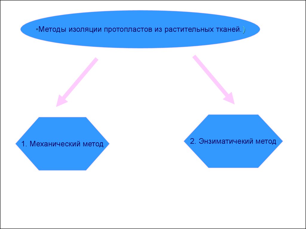 Способы изоляции. Методом «в изоляции». Изолированный метод.