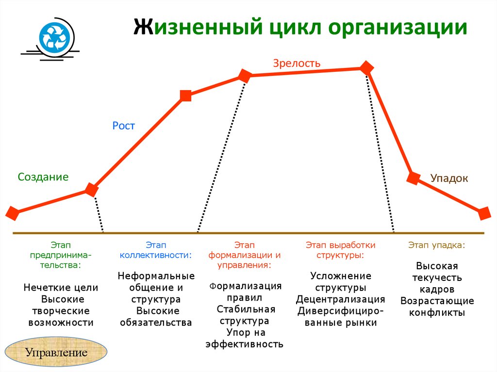 Характеристика стадии жизненного цикла