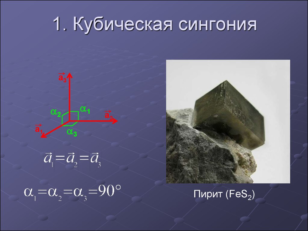 Сингония цветок фото